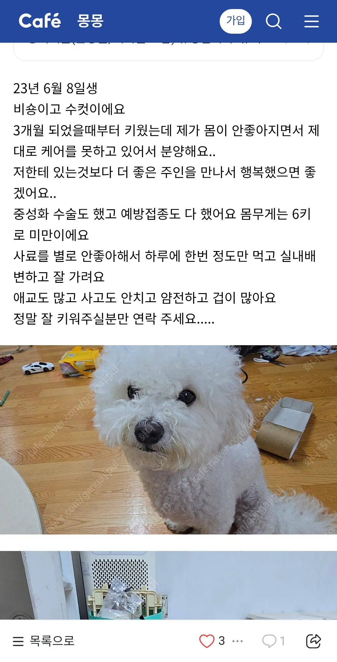 개를 몇년간키우다버리는것들 거의맘충2