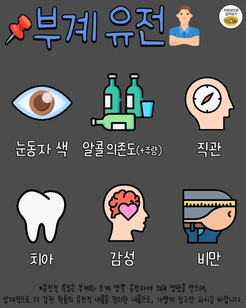 아빠한테서 닮는거래