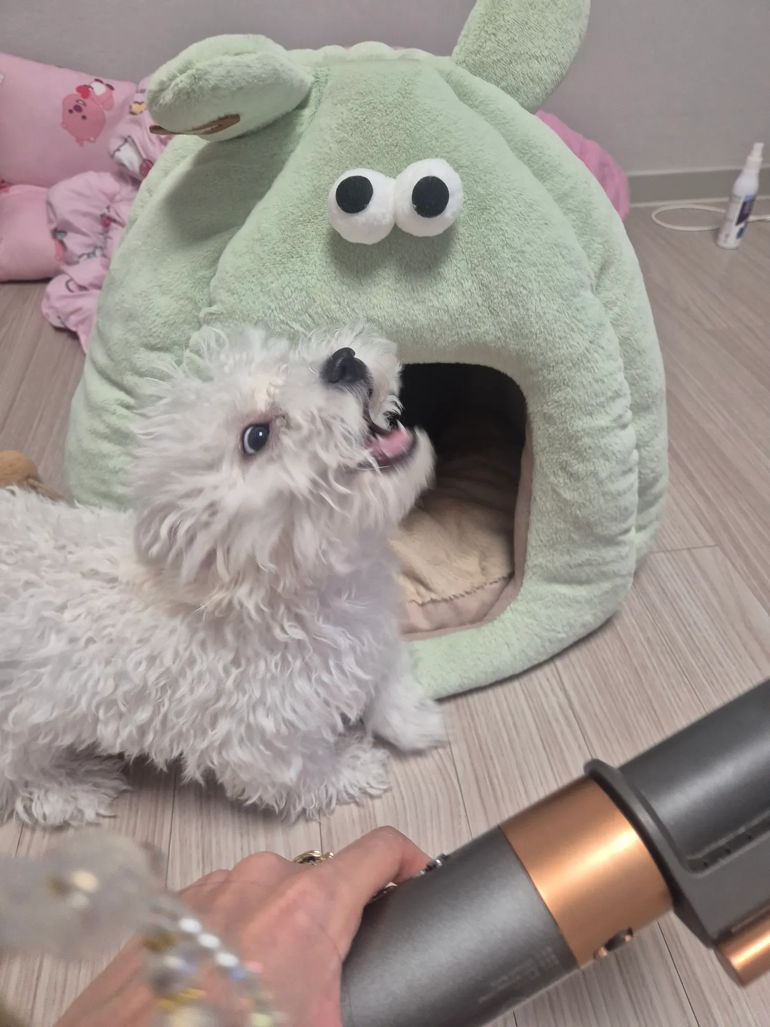 동금이털말ㅈ려야되는데 니가왜막노