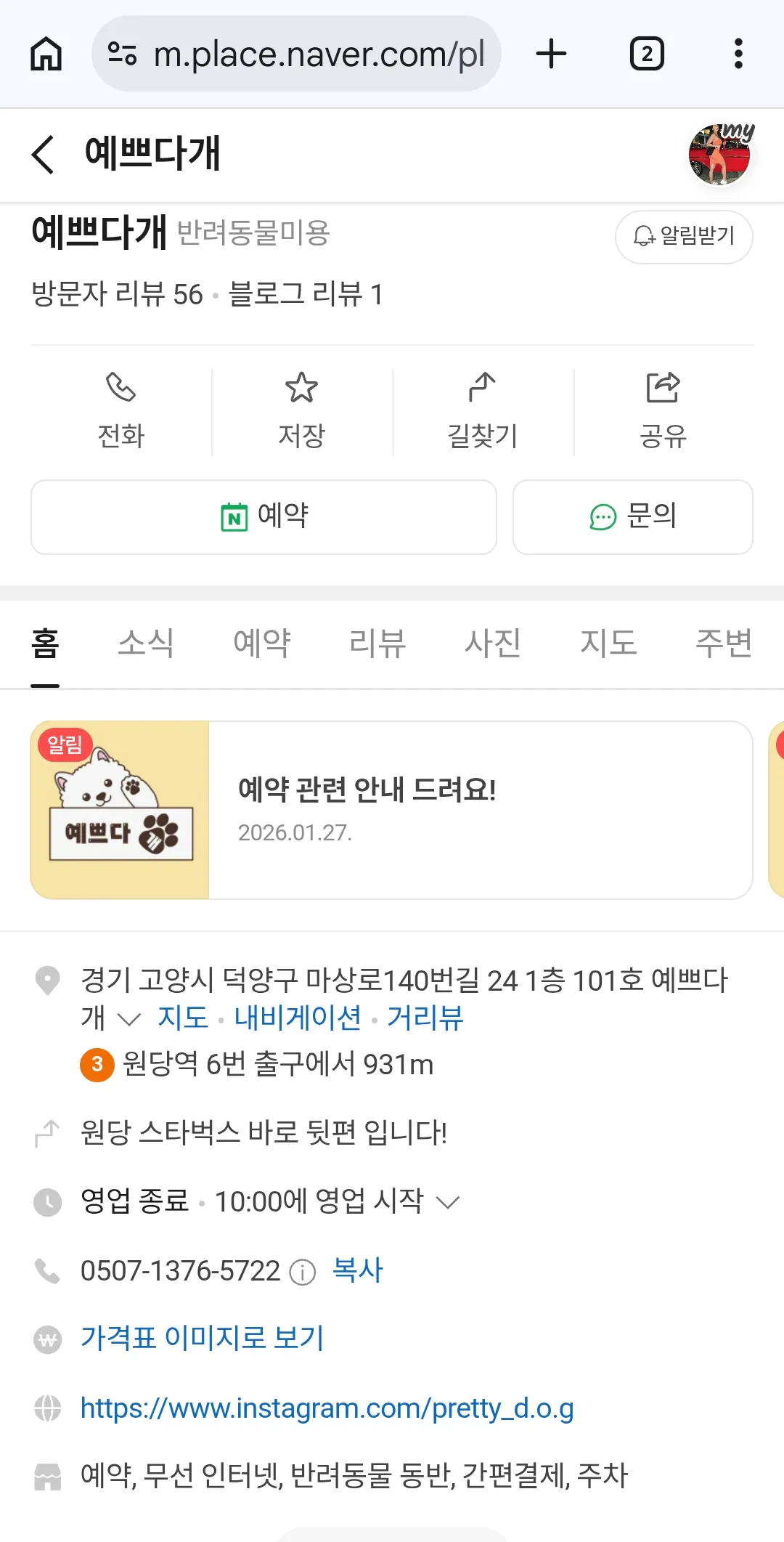 혹시 여기에다 비숑4개월반남아 싹털미는미용
