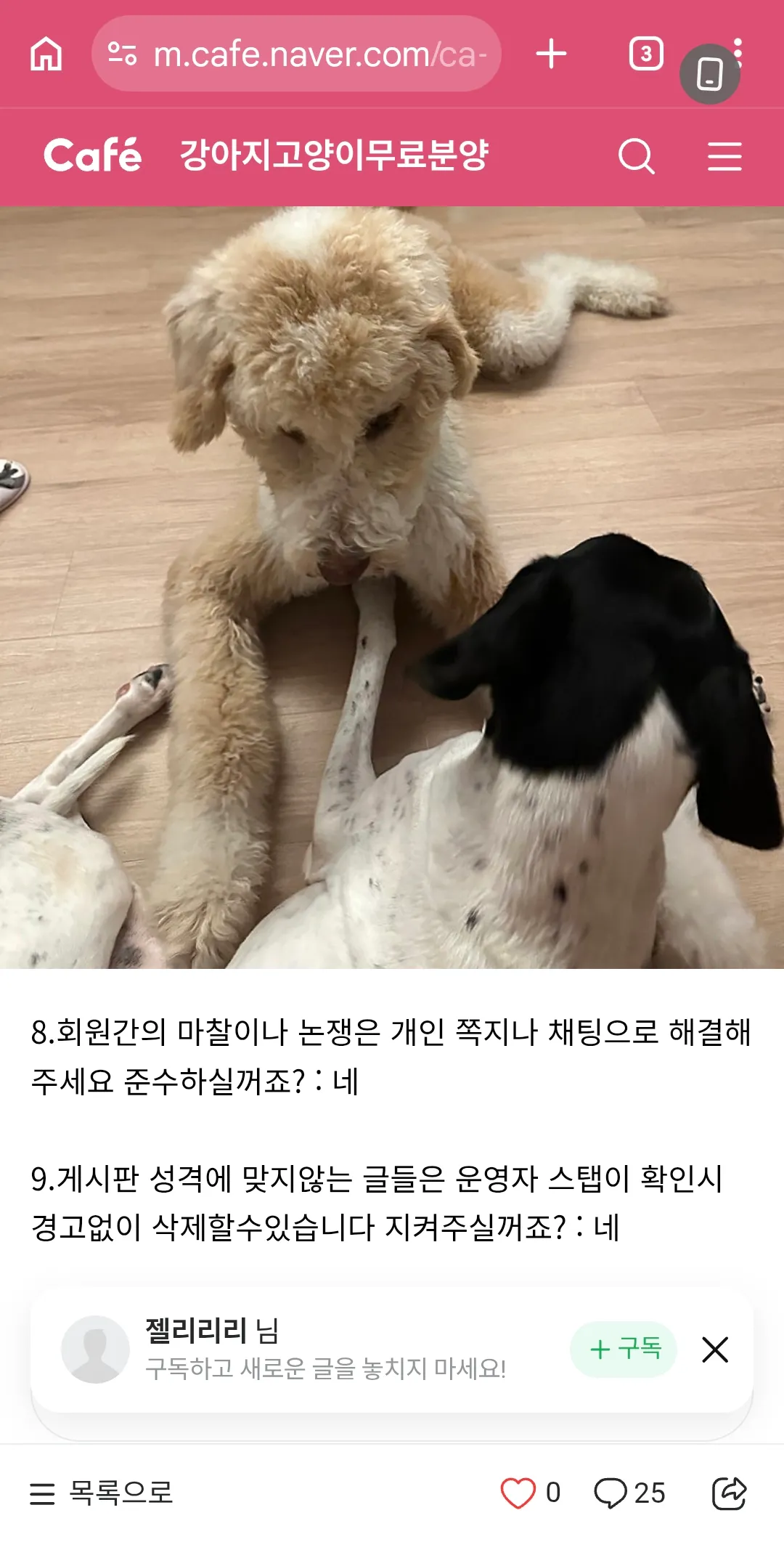 1년간 사랑주던 개를 그냥 버리네...