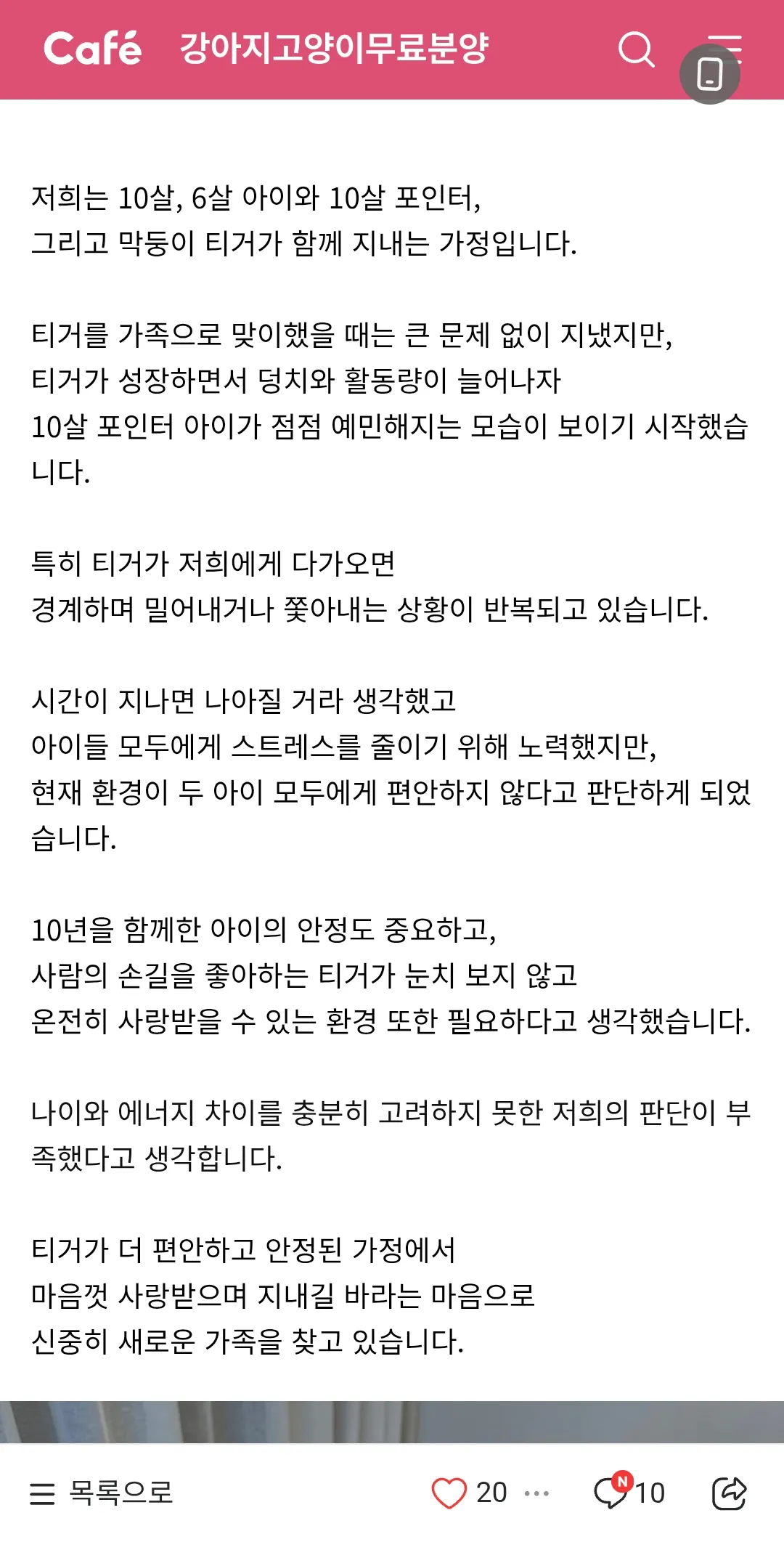 1년간 사랑주던 개를 그냥 버리네...2