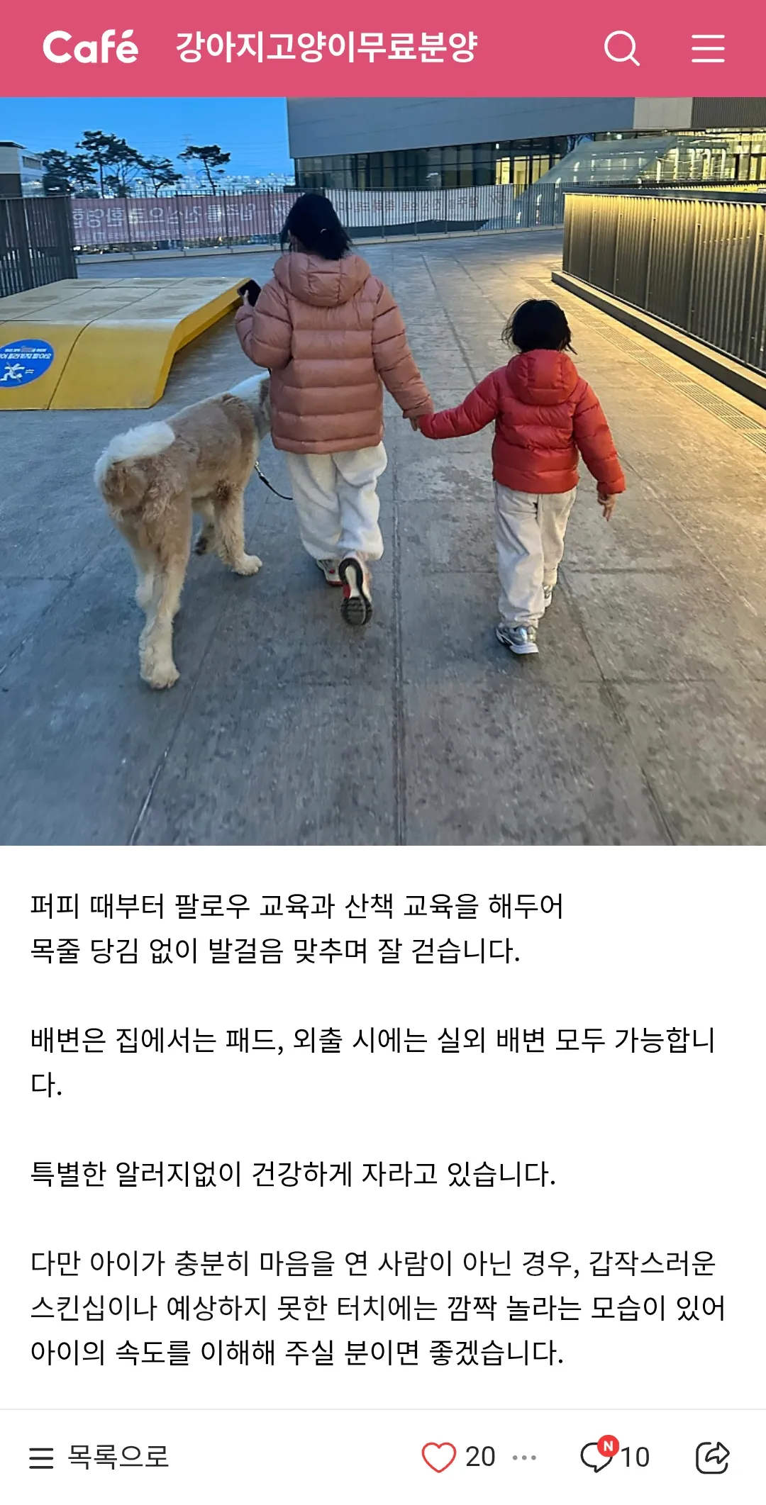 1년간 사랑주던 개를 그냥 버리네...3