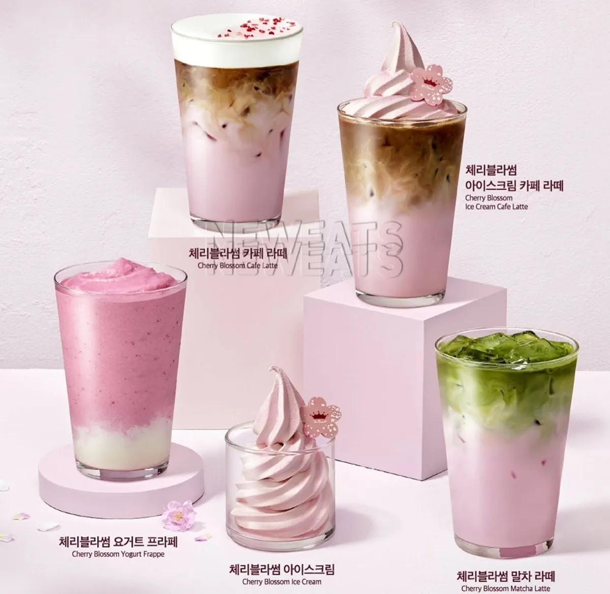 폴바셋 신상