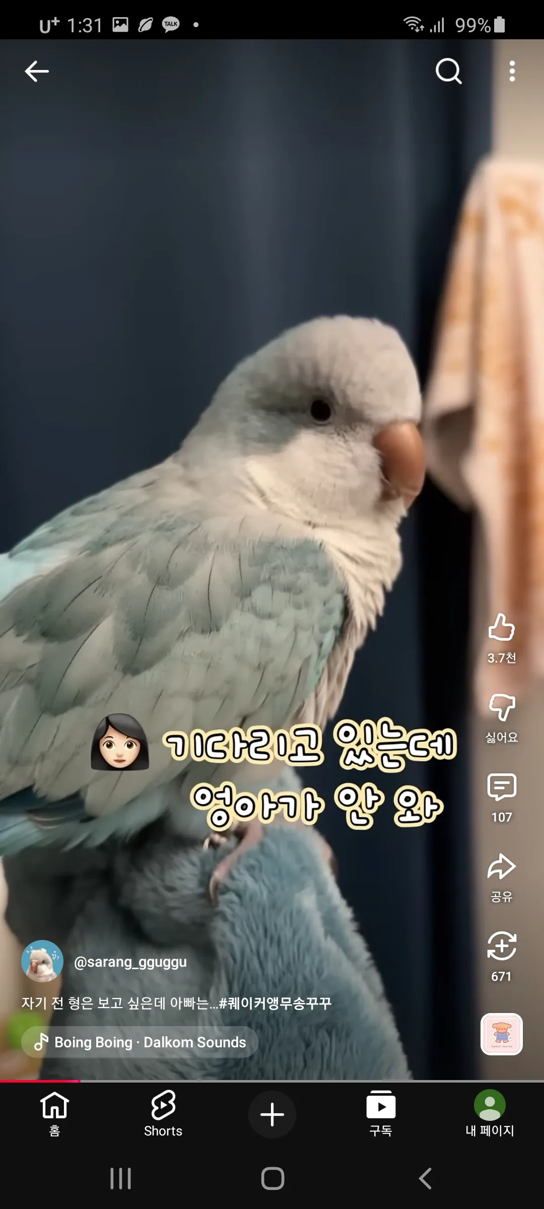 무새 잠안와아5