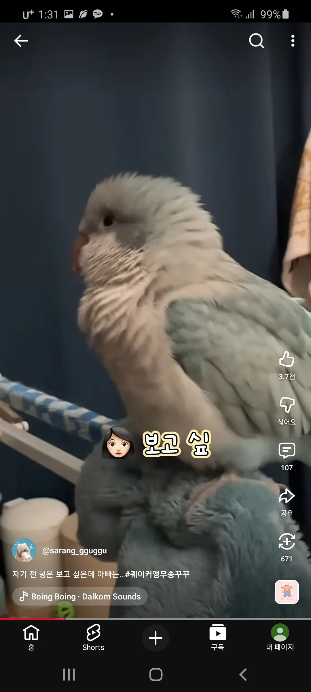 무새 잠안와아6