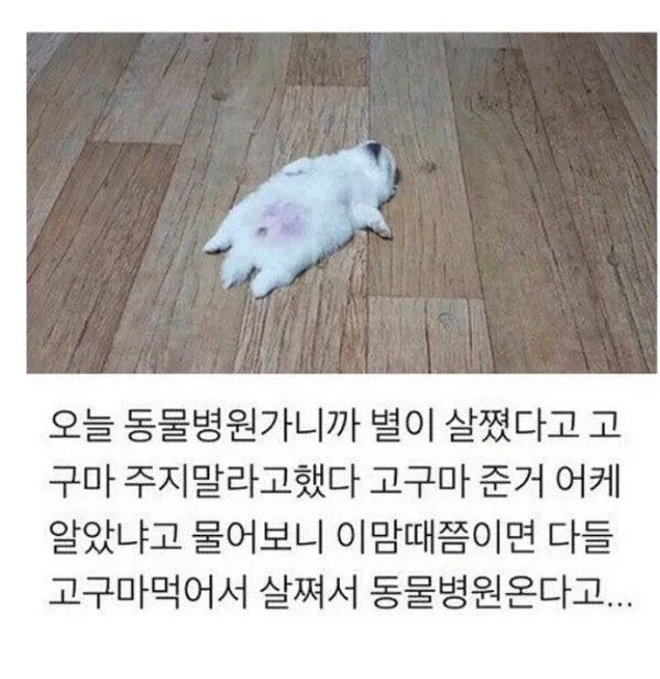 피식5