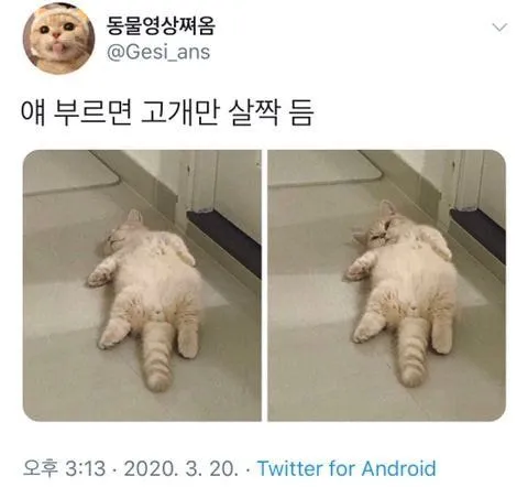 피식6