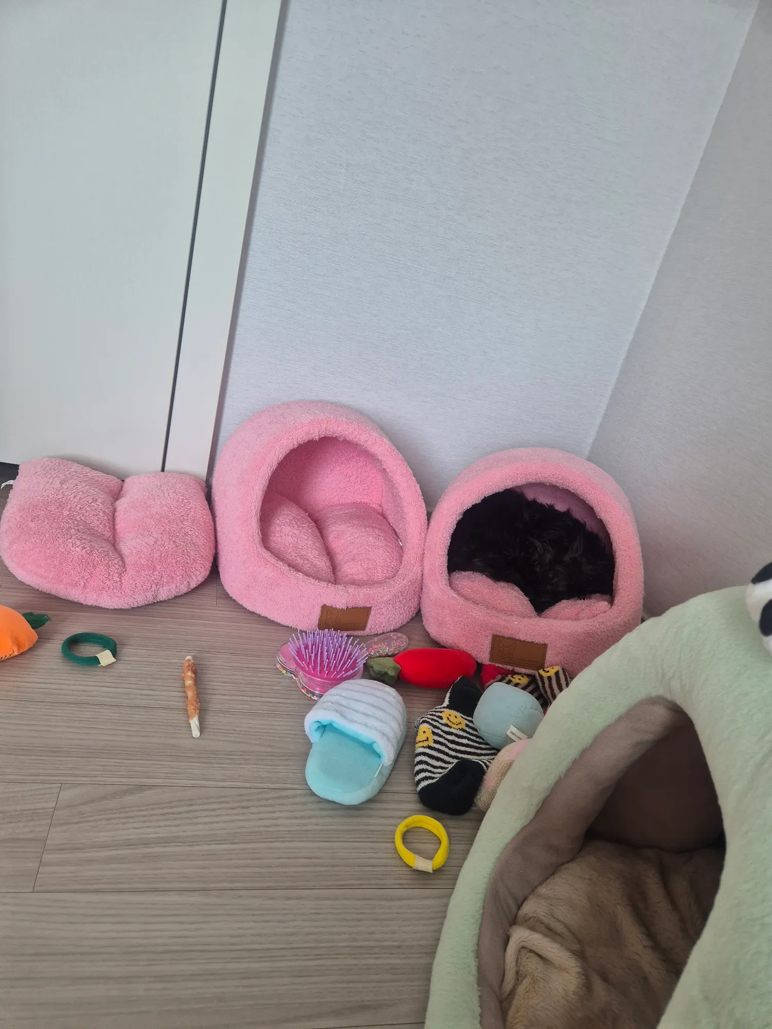 먹태깡이더맛잇노 댓글