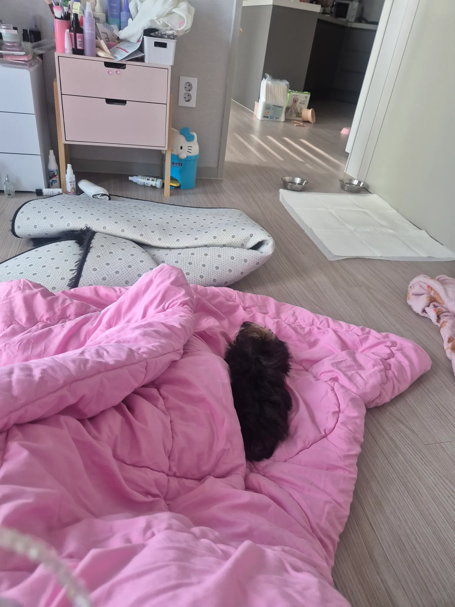 먹태깡이더맛잇노 댓글 2