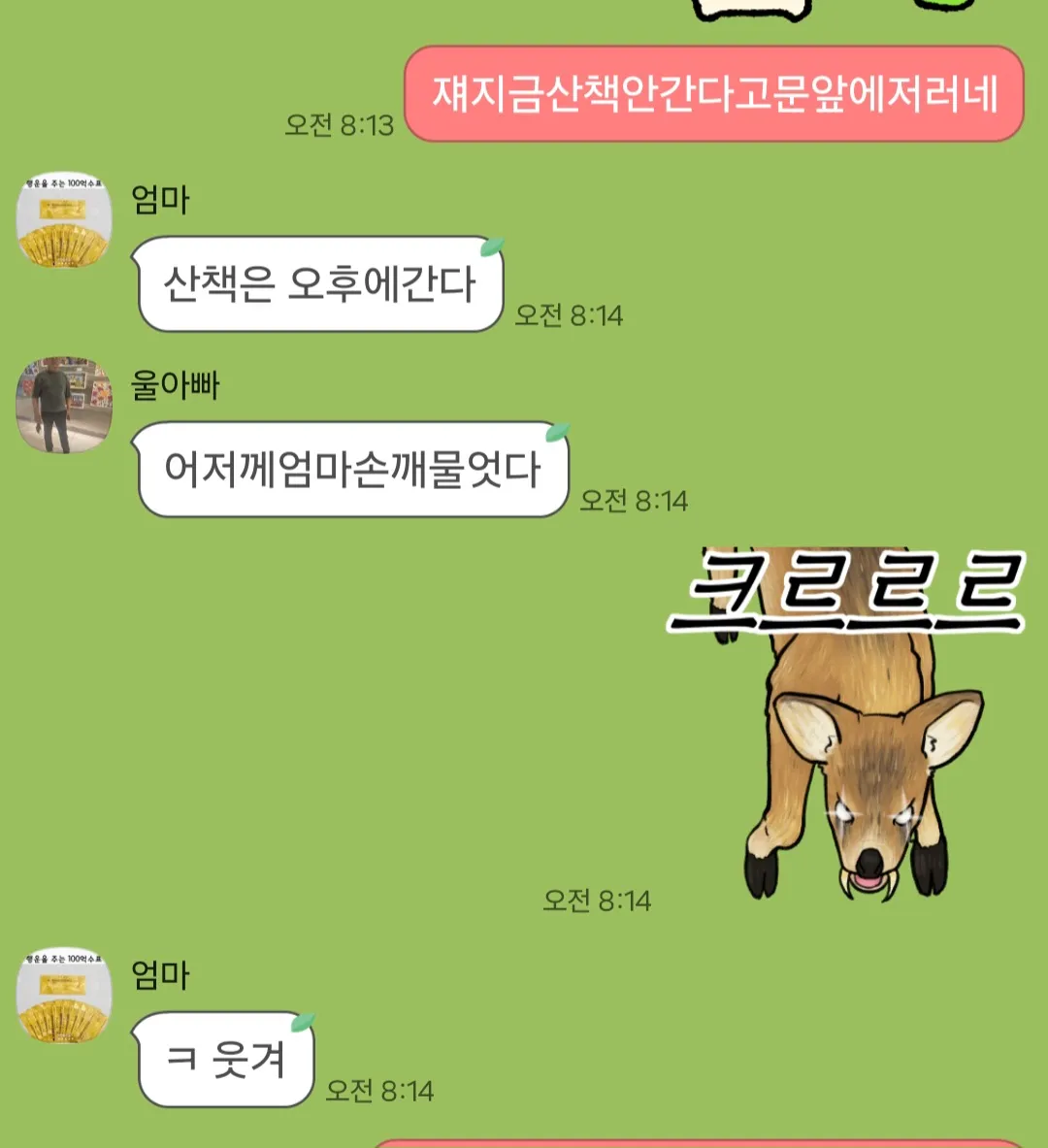 아빠가 키우는 울산금동이 오늘근황3