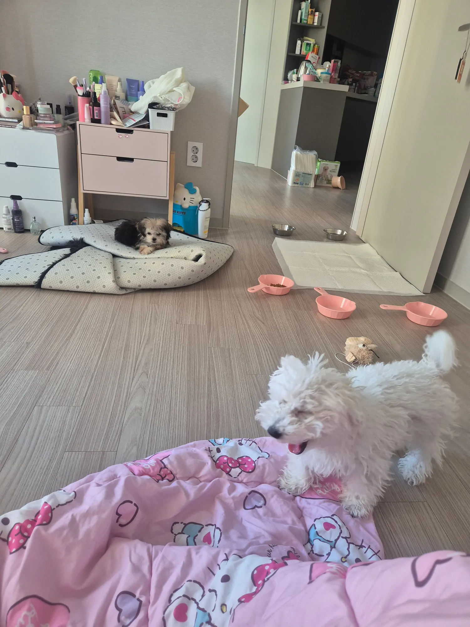다 자다일어남