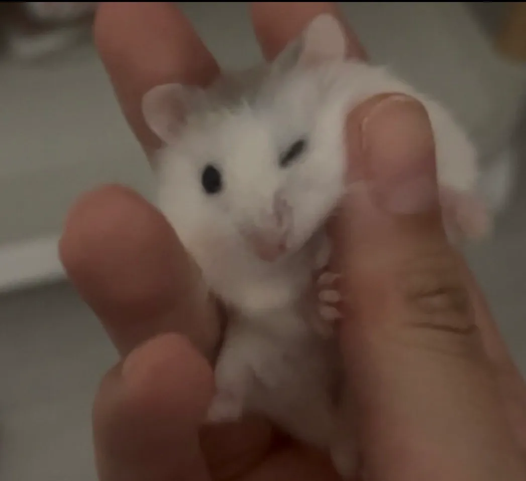 울딸 이제 한살이넹~♡2