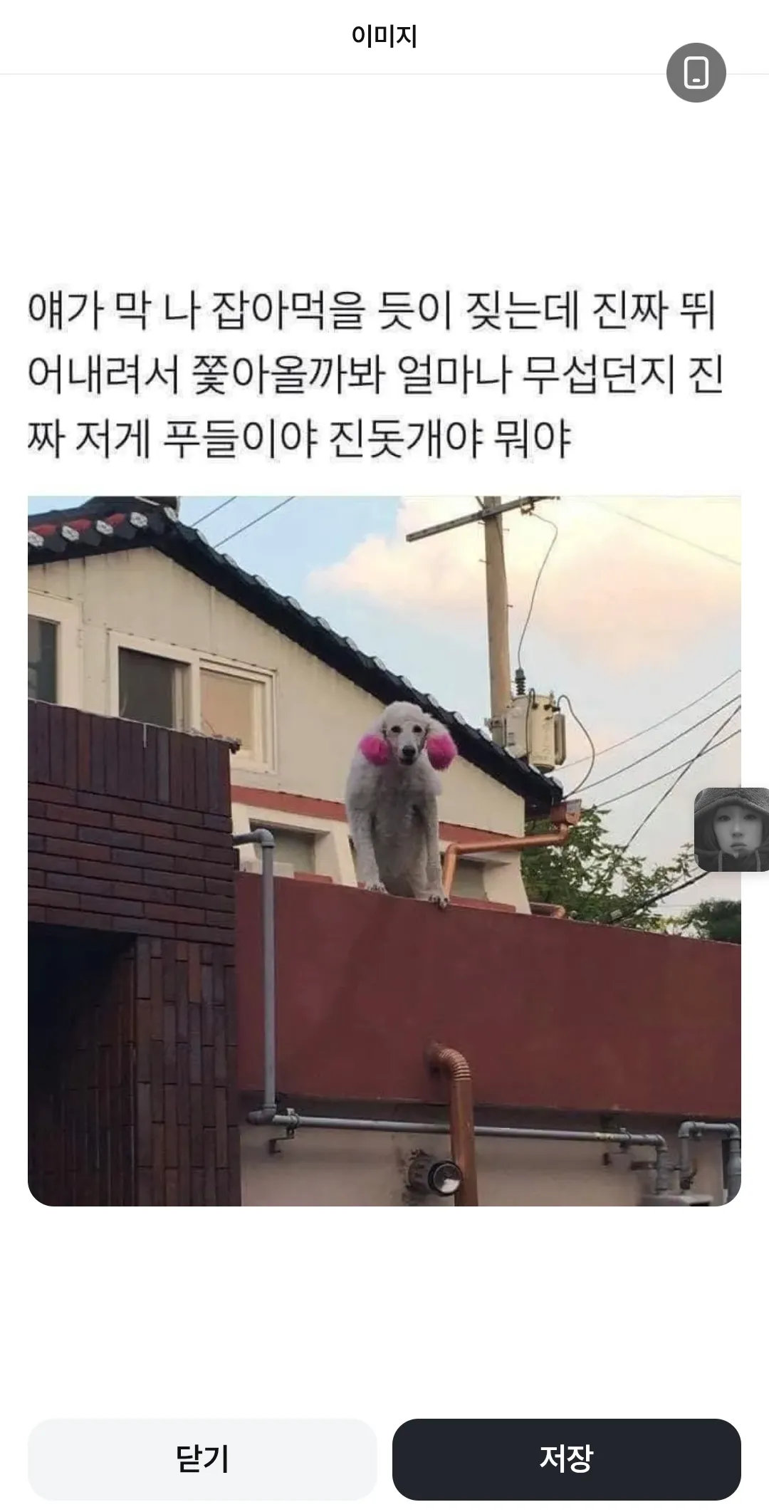 이개 한국개인가요