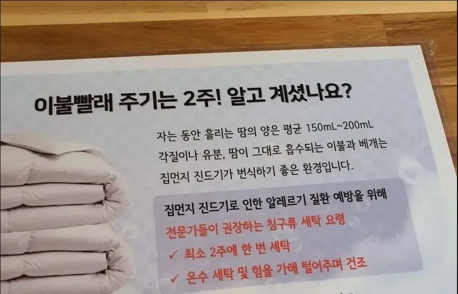 전문가들이 권장하는 이불 빨래 주기