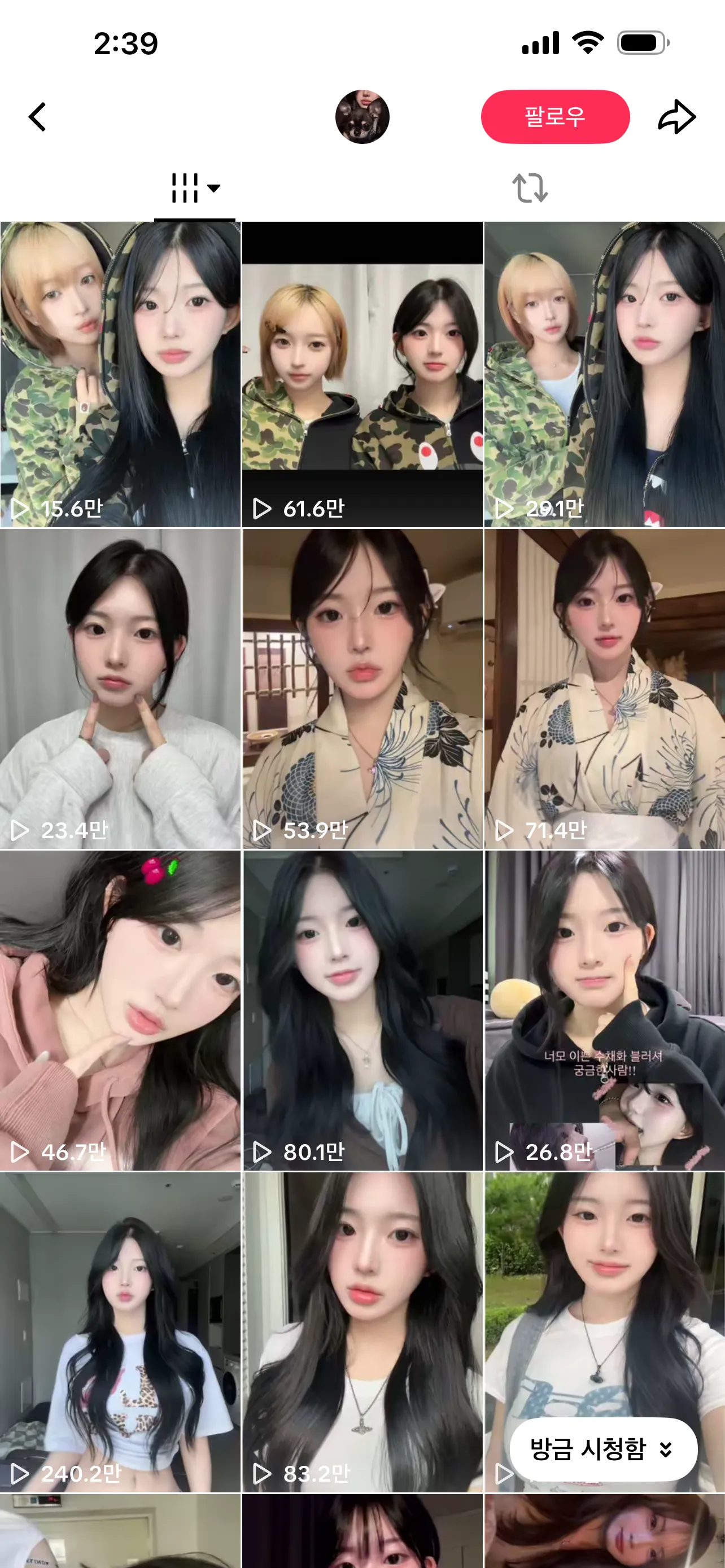 언니들은 틱톡커들 이뻐요..?