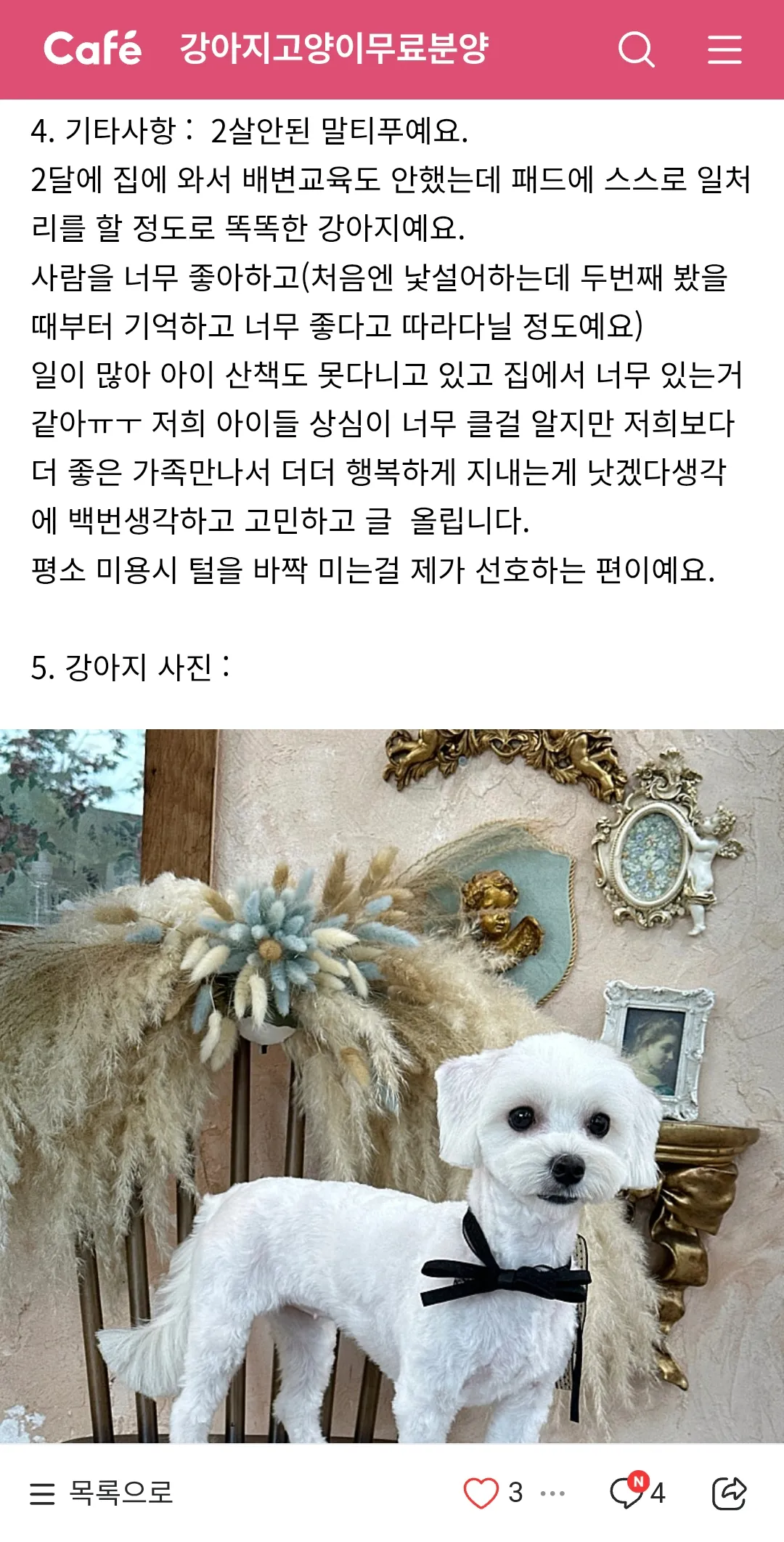 불쌍하다..