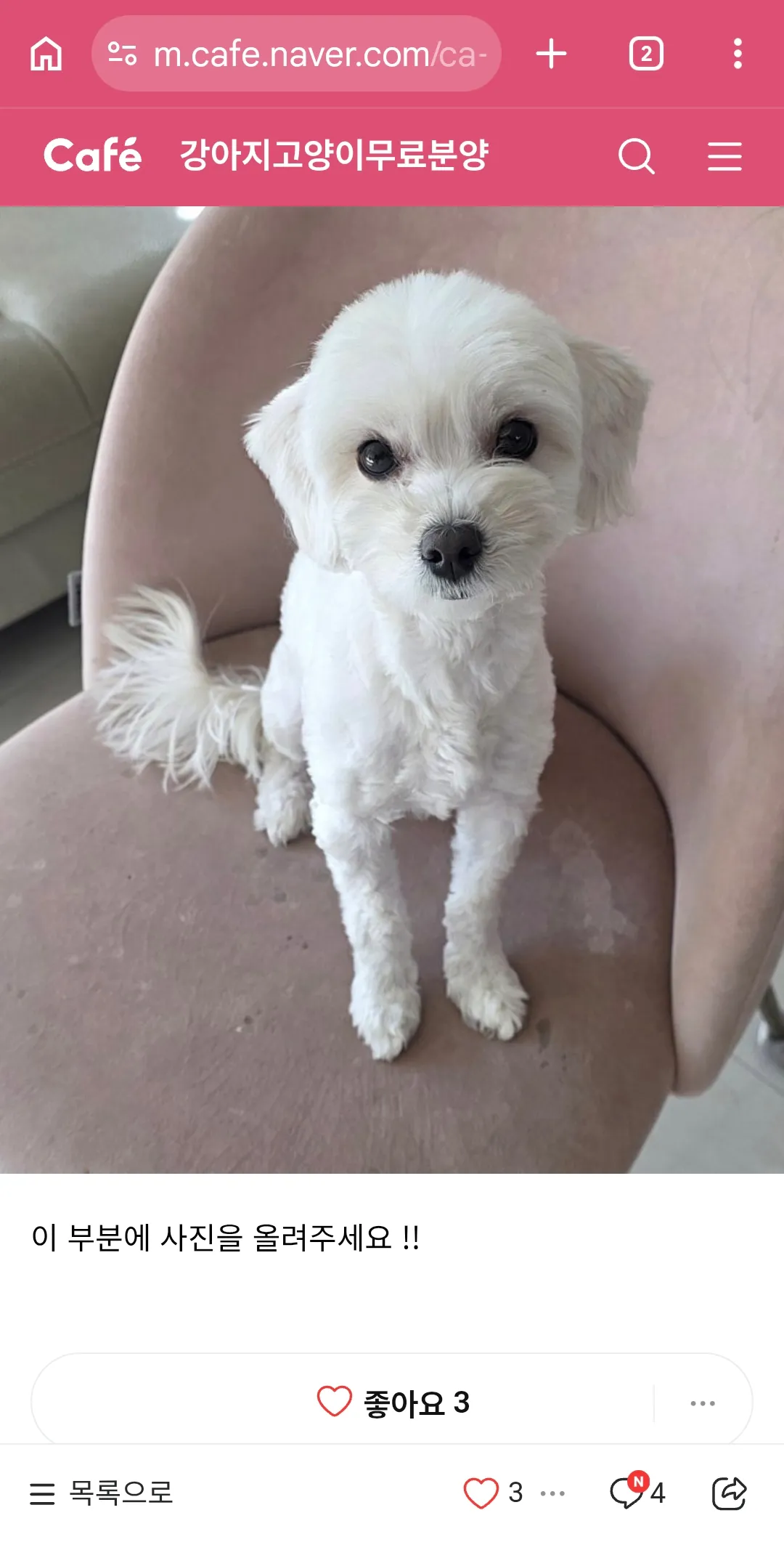 불쌍하다..2