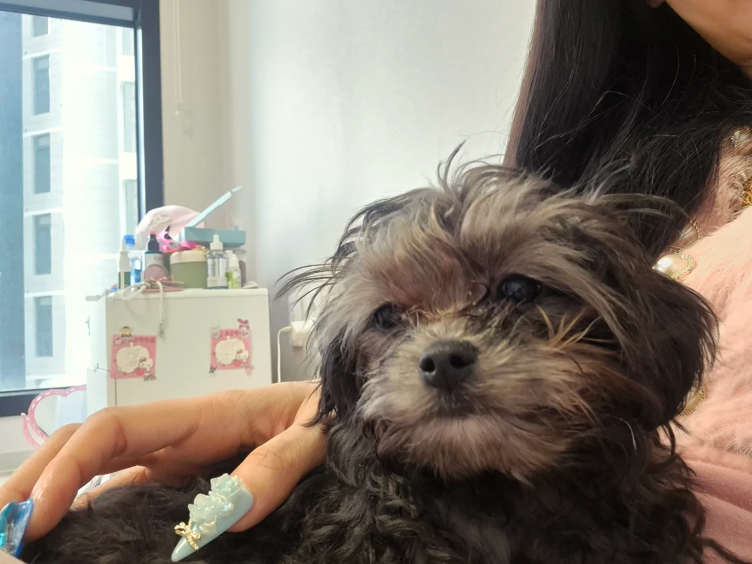 검동이도 쌔깜해서그렇지2