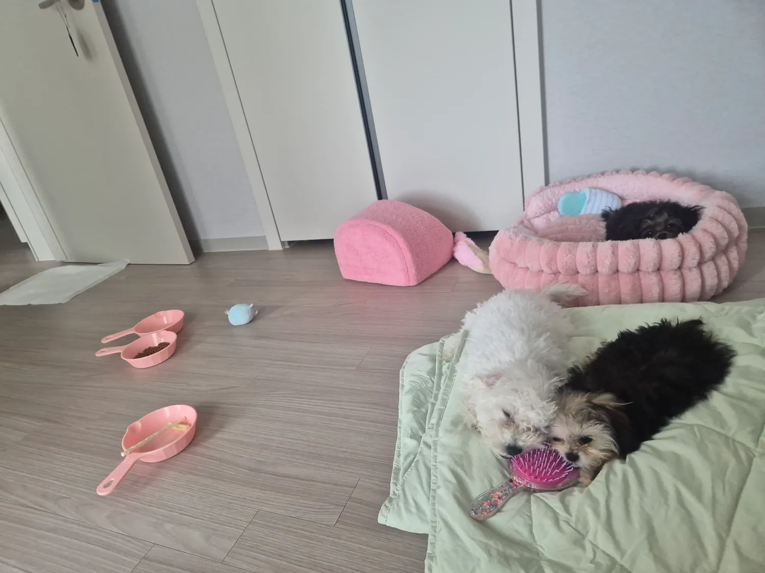 빗질하면3
