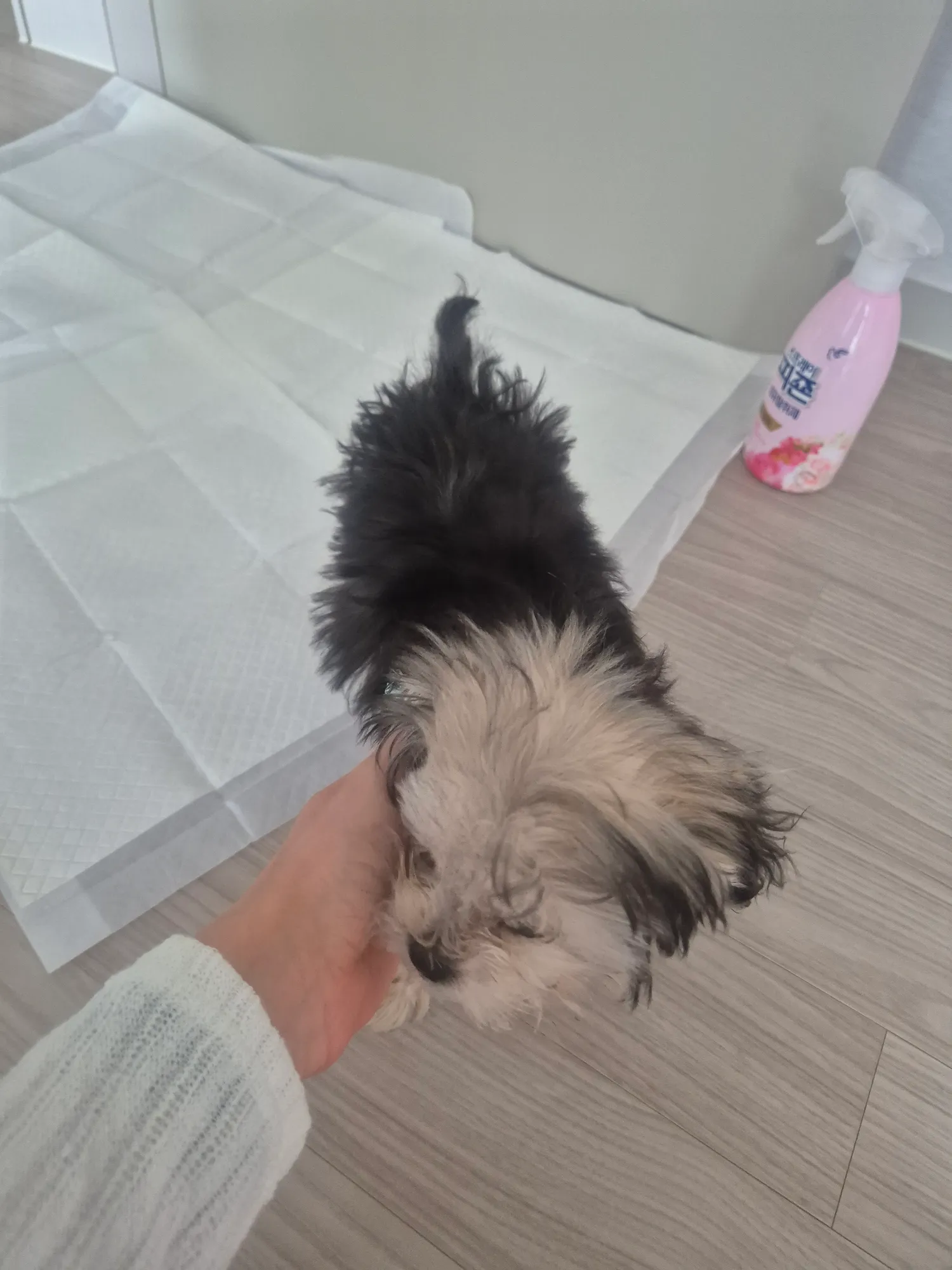 빗질하면 댓글
