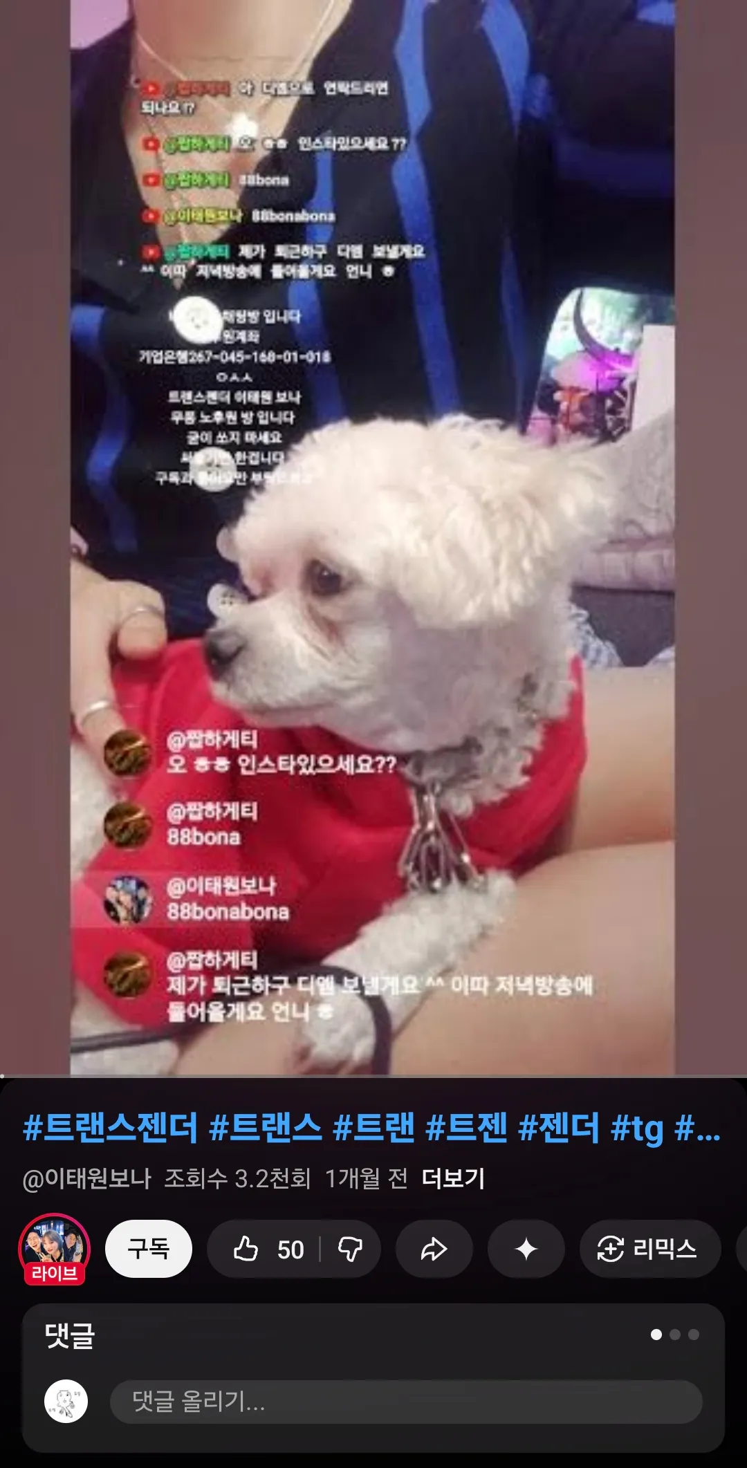 언니들 이강아지 종류좀요