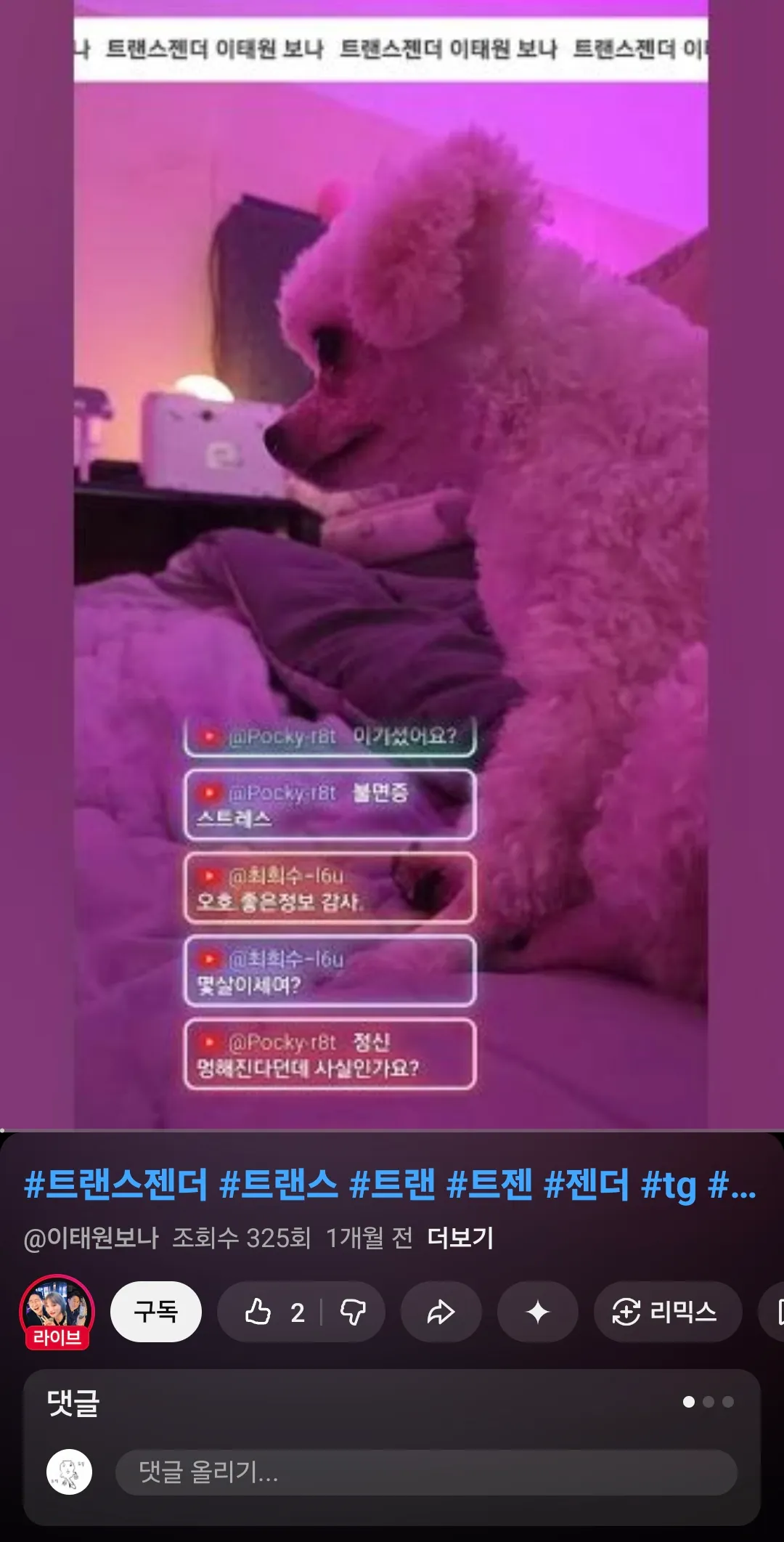 언니들 이강아지 종류좀요3