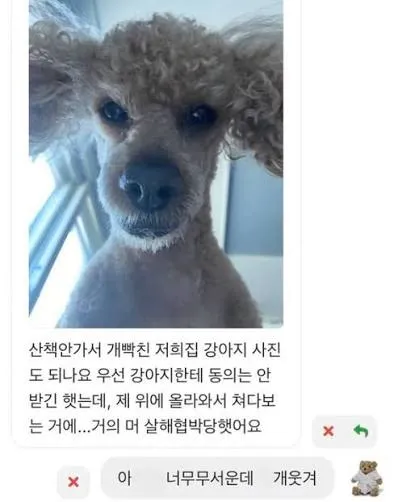 ㅈㄴ멍청한 내자신이싫고 부모님한테죄송하다 댓글