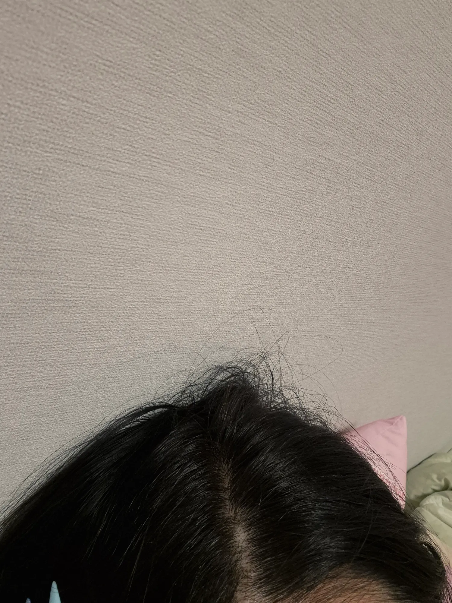 비듬도없는데 대가리냄재왜나는거야씨발