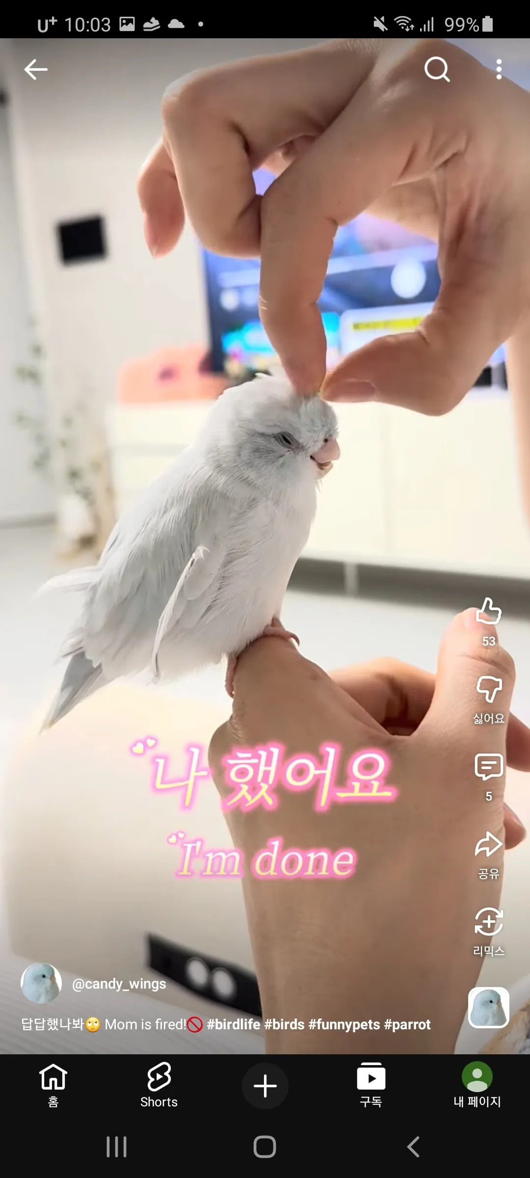 언니들 술 무서운거같아요 댓글