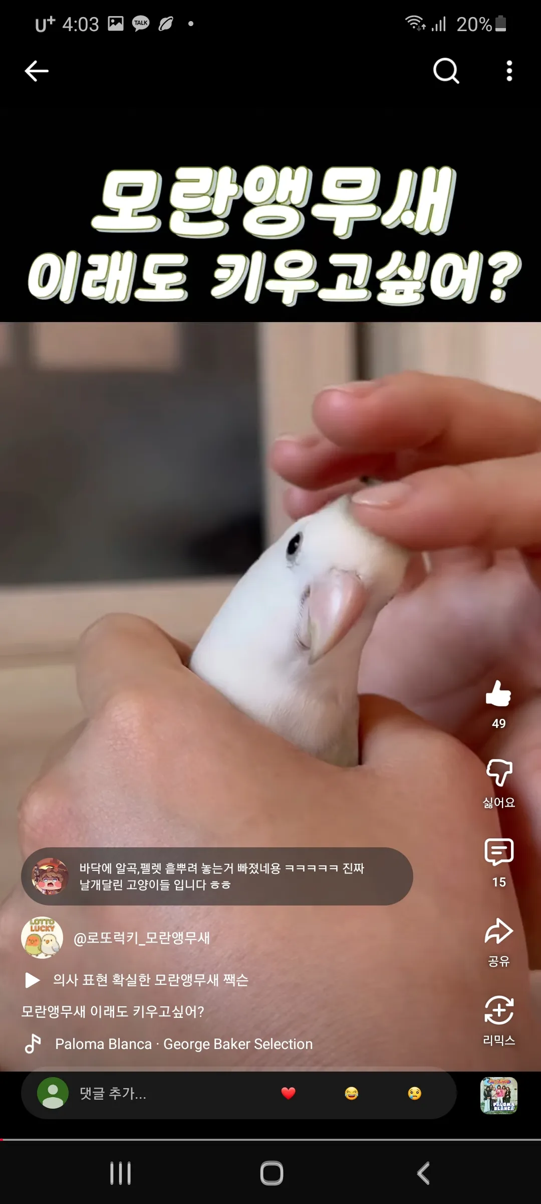 언니들 술 무서운거같아요 댓글 2