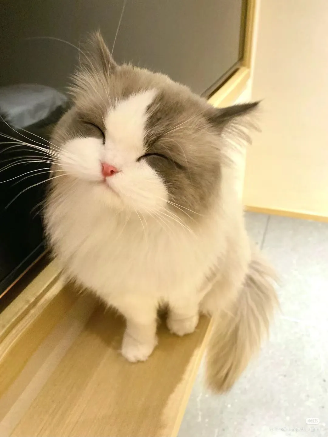 안녕하세옹