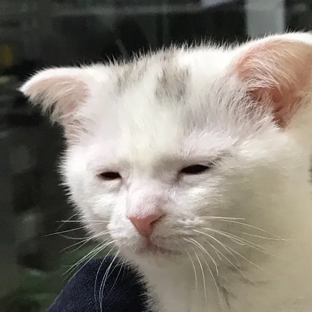 주식 떨어질꺼 예상하긴 했는데.. 댓글