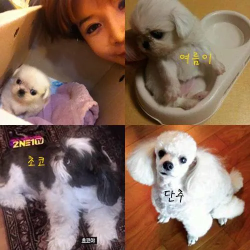 박봄 조현병 초기넘어선듯.,,개립스틱칠하고3