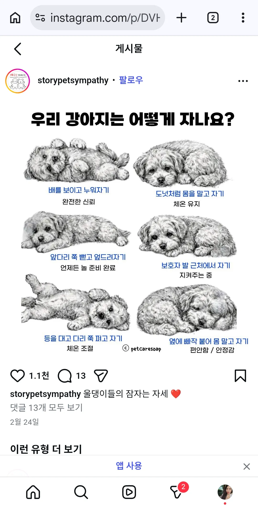 강아지행동