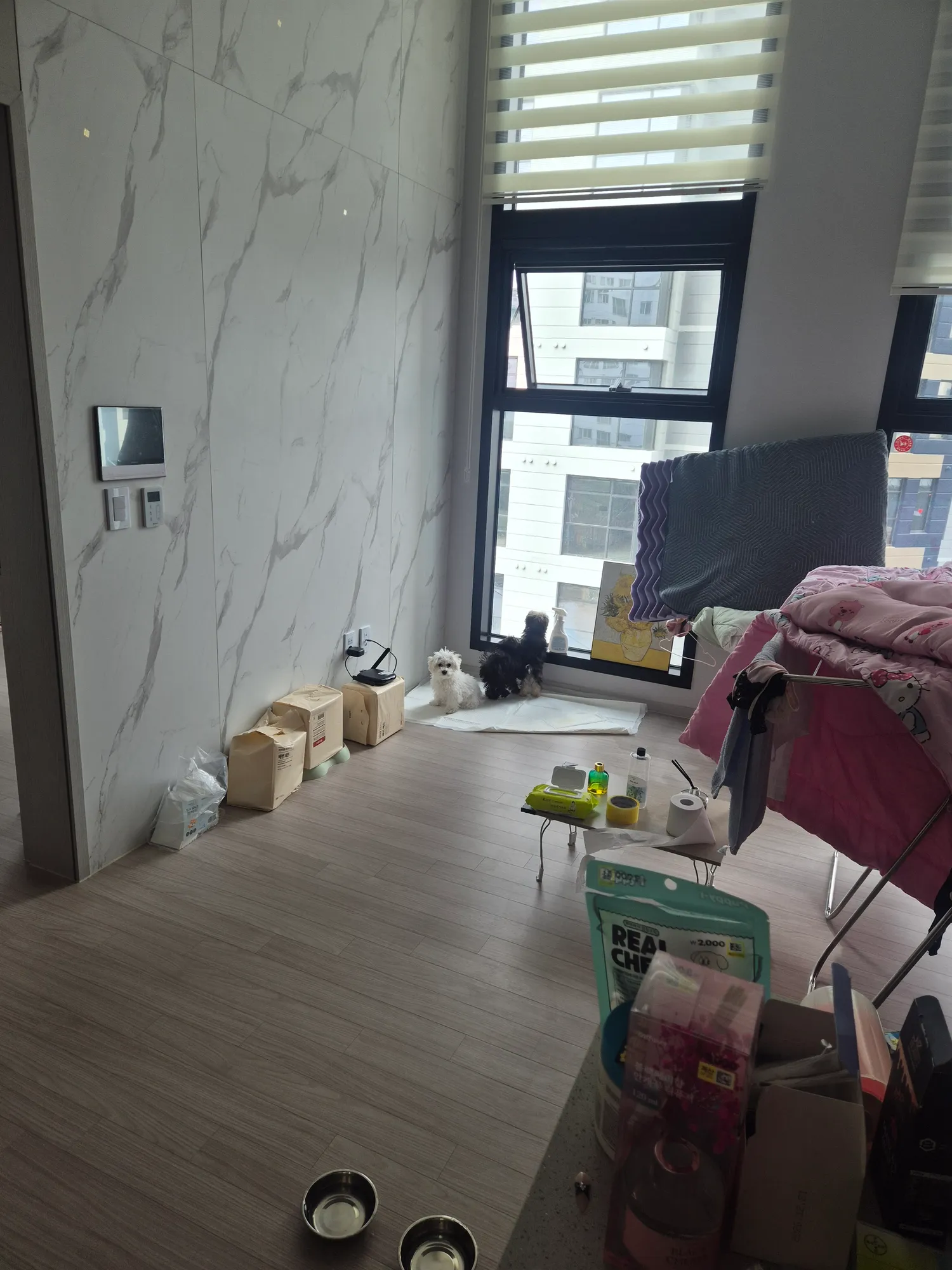 산책가자고시위?