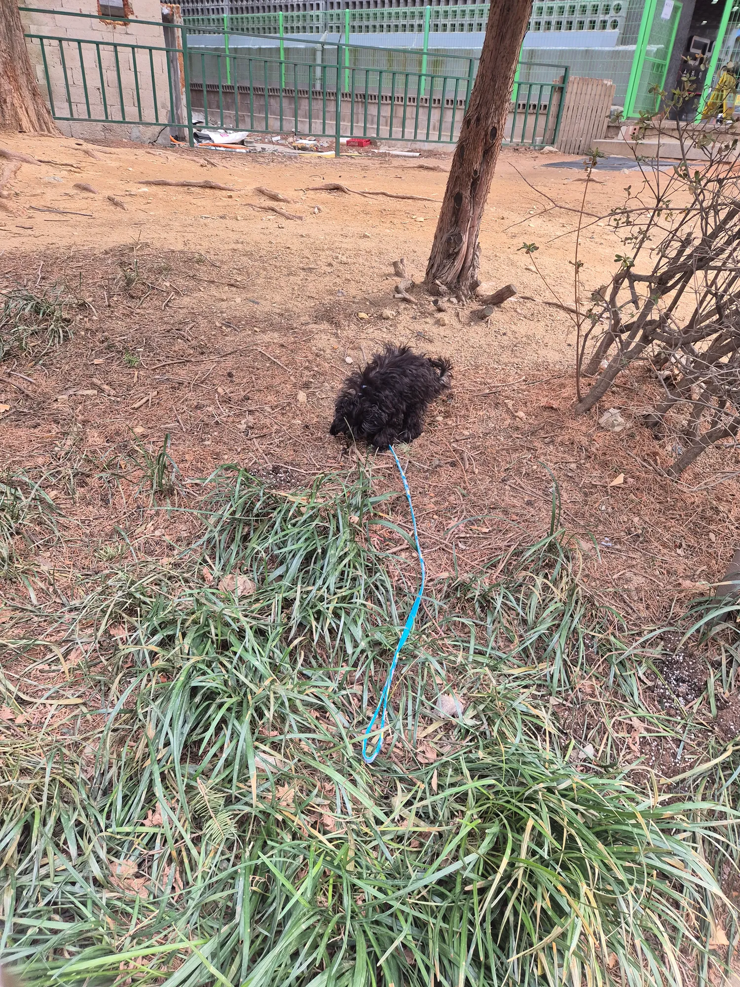 산책할곳 존나없다짜증니ㅠ