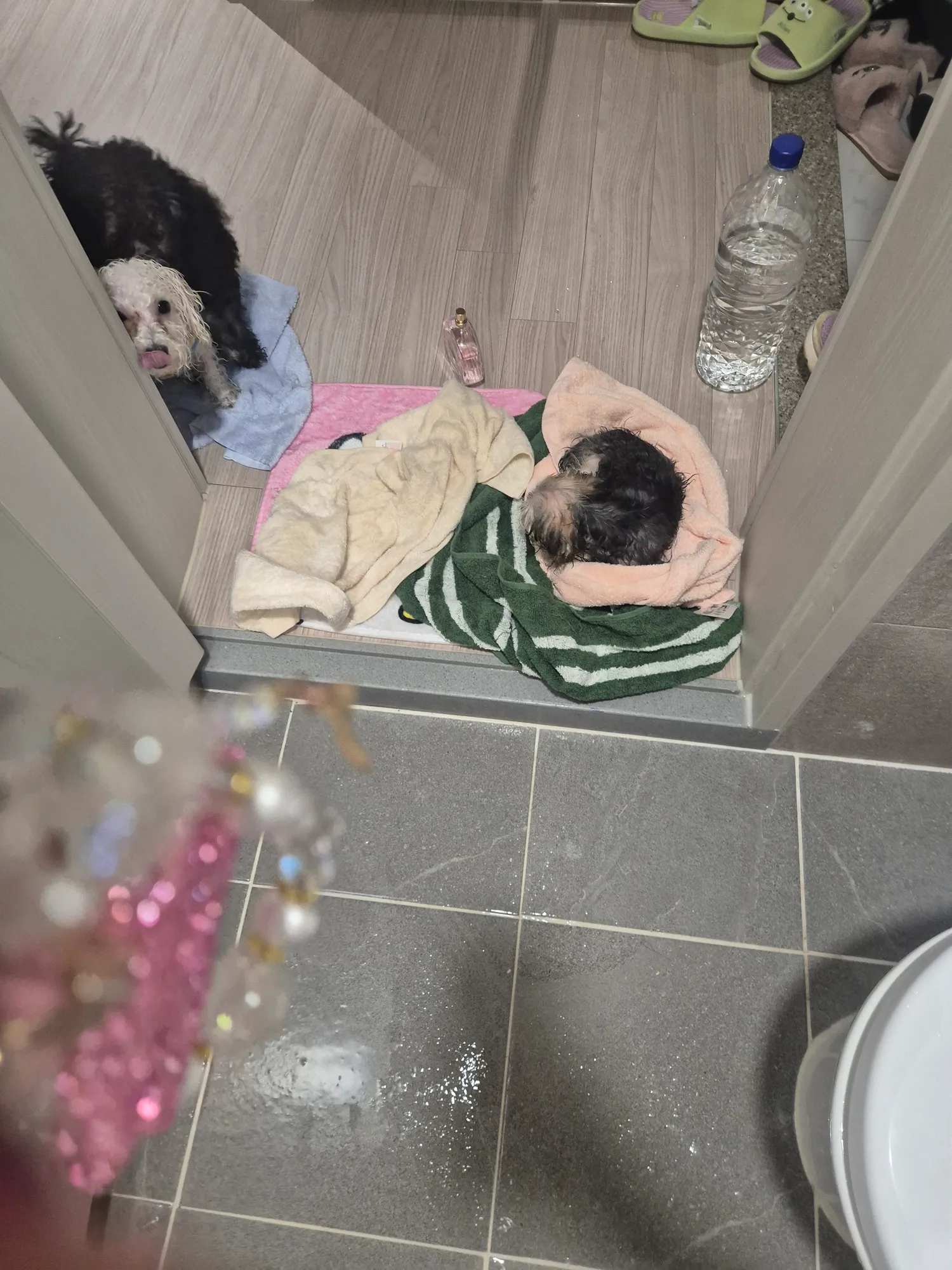 지기들이씻겨달라고와놓고ㅈ씻고벌벌ㄸᆢㄹ어