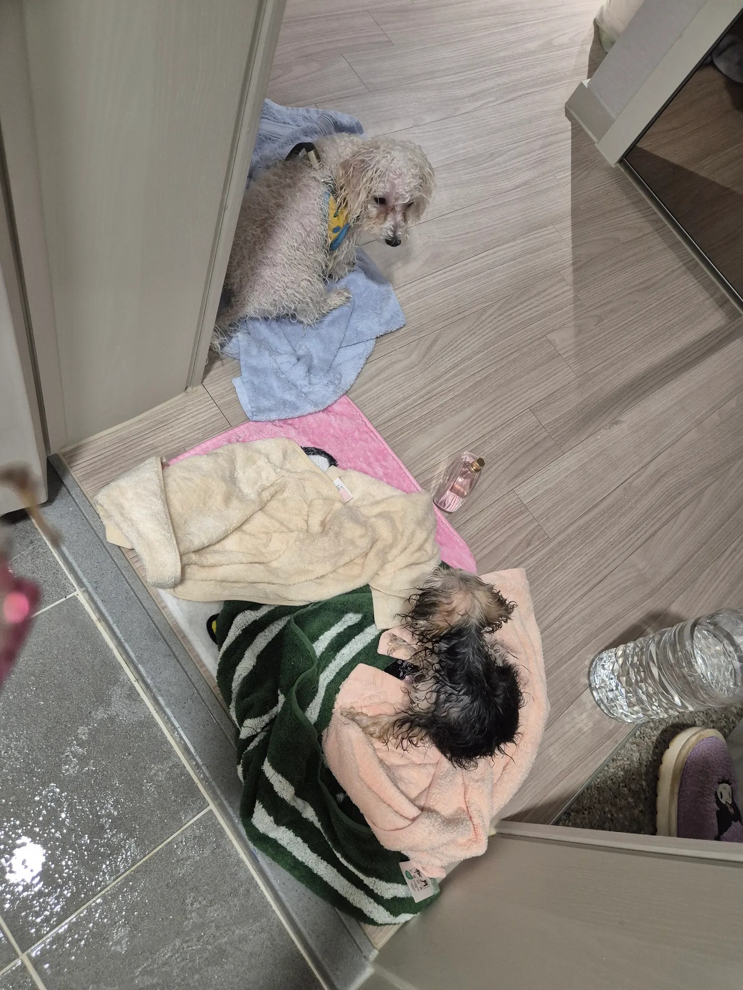 지기들이씻겨달라고와놓고ㅈ씻고벌벌ㄸᆢㄹ어2