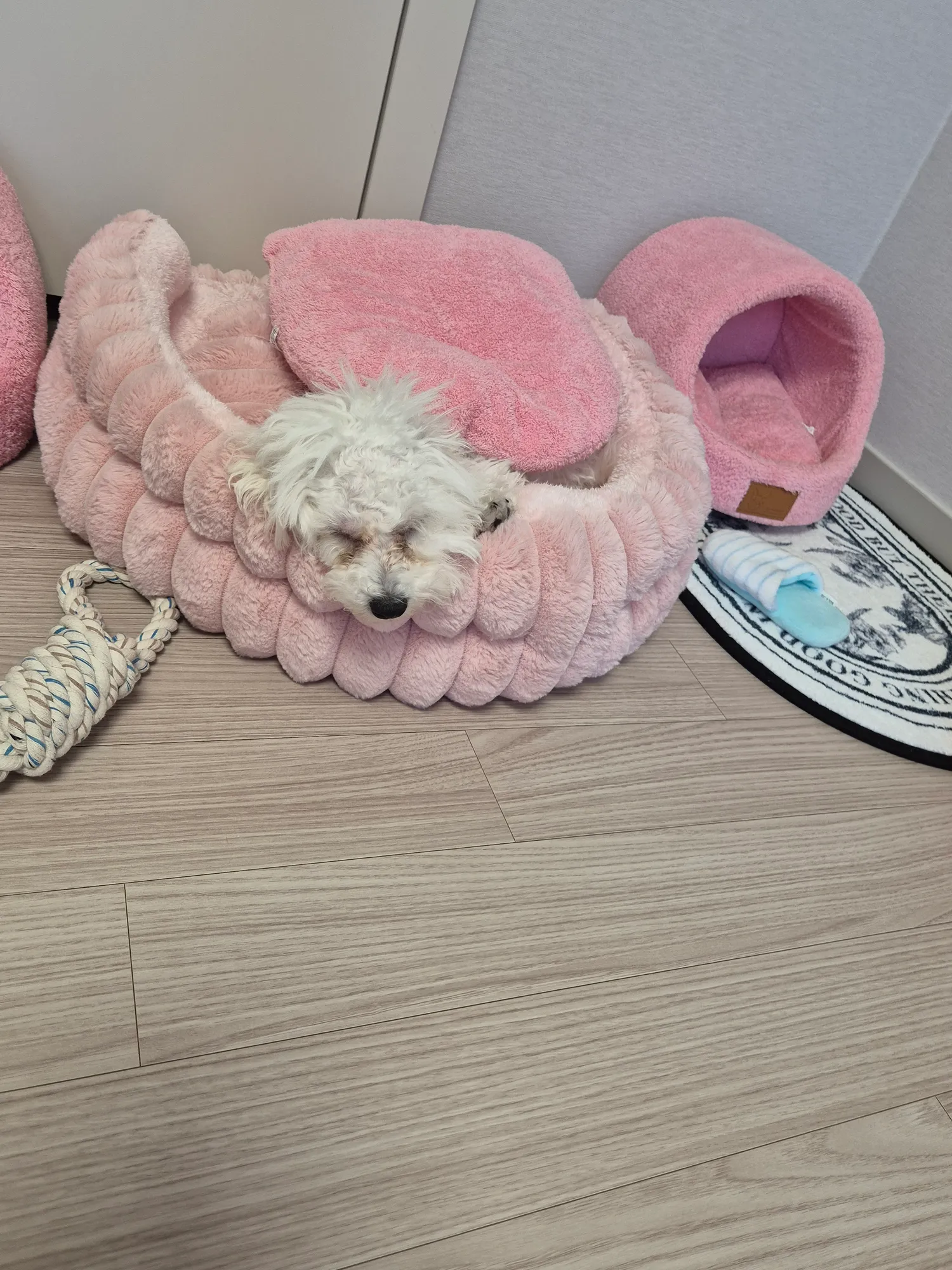 신동엽??