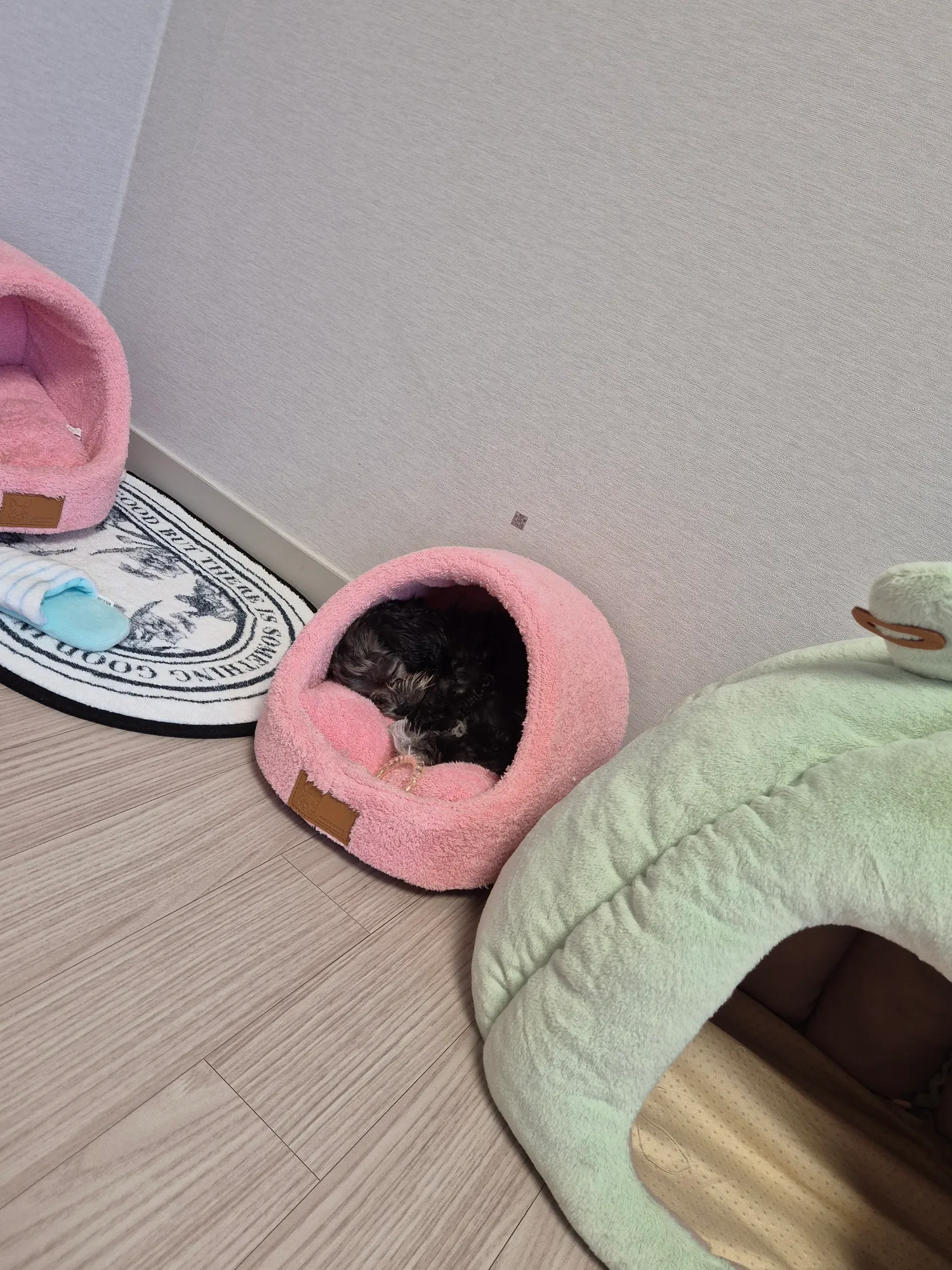 신동엽?? 댓글