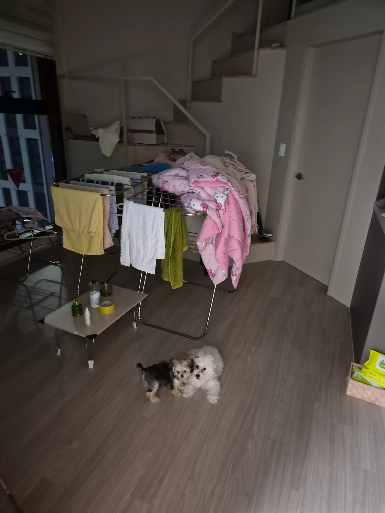 언니들15평 복층 오피 나갈때도배해줄때