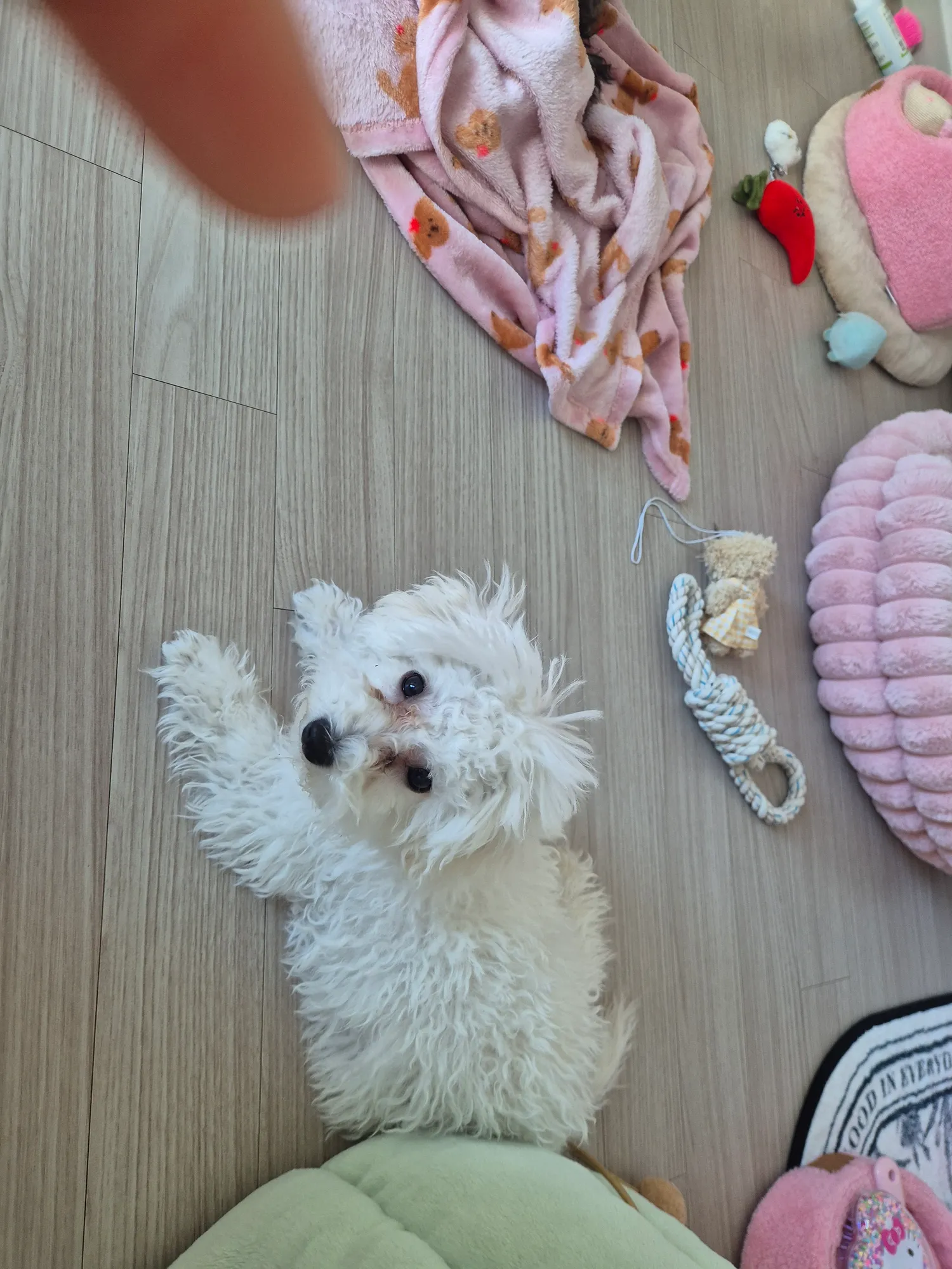 밥먹고씻고돈벌자3