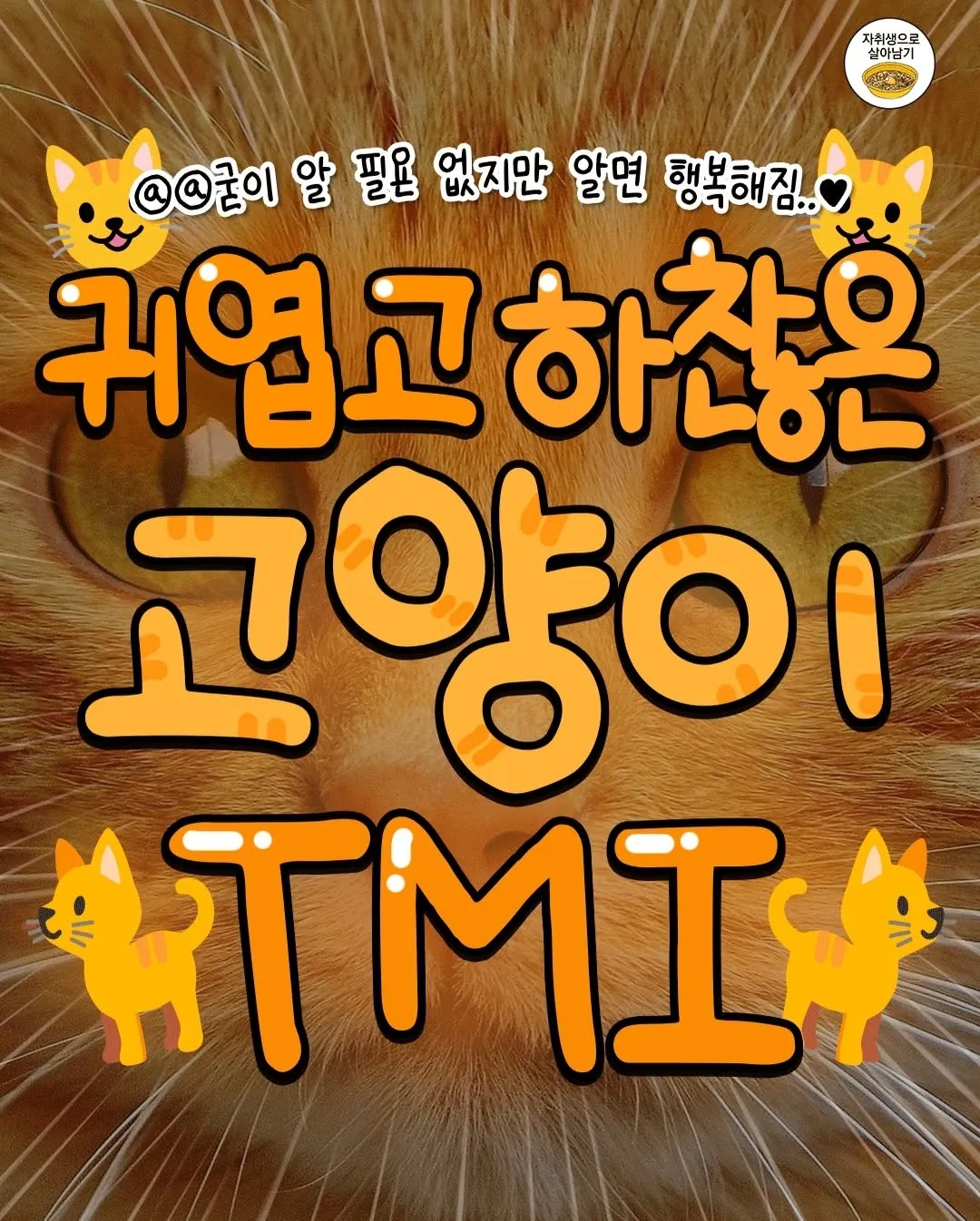고양이 TMI