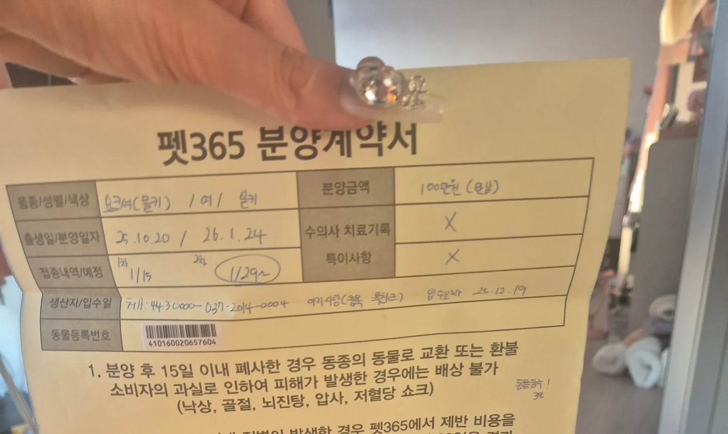 벌써두달전 동금이우리집처음온날2