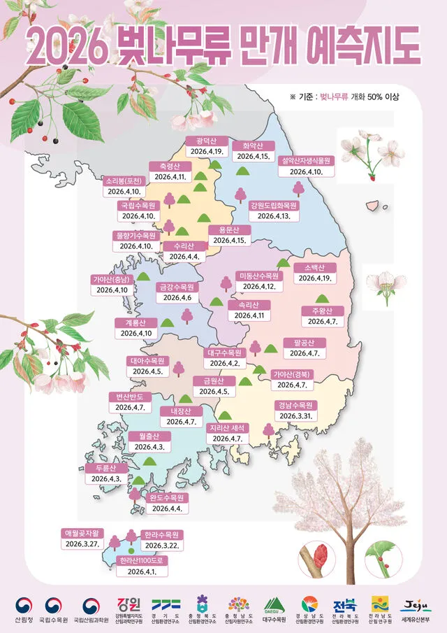 2026 벚나무  만개 예측지도