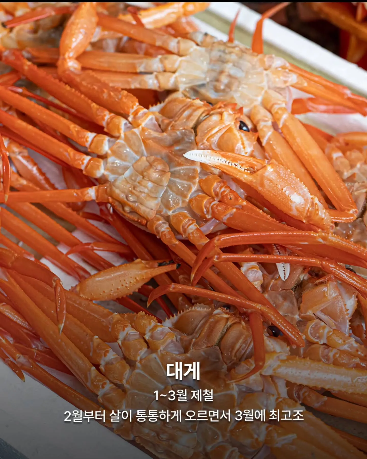 3월 제철 음식들