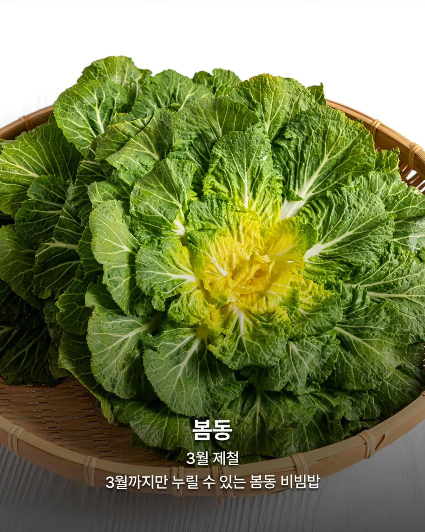 3월 제철 음식들2