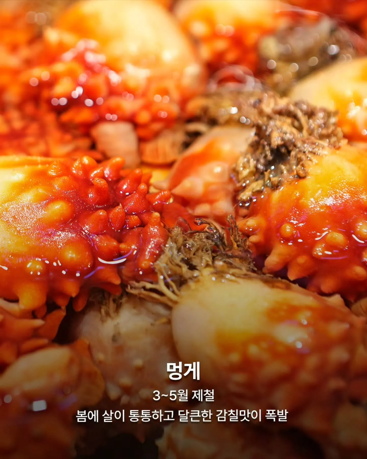 3월 제철 음식들6