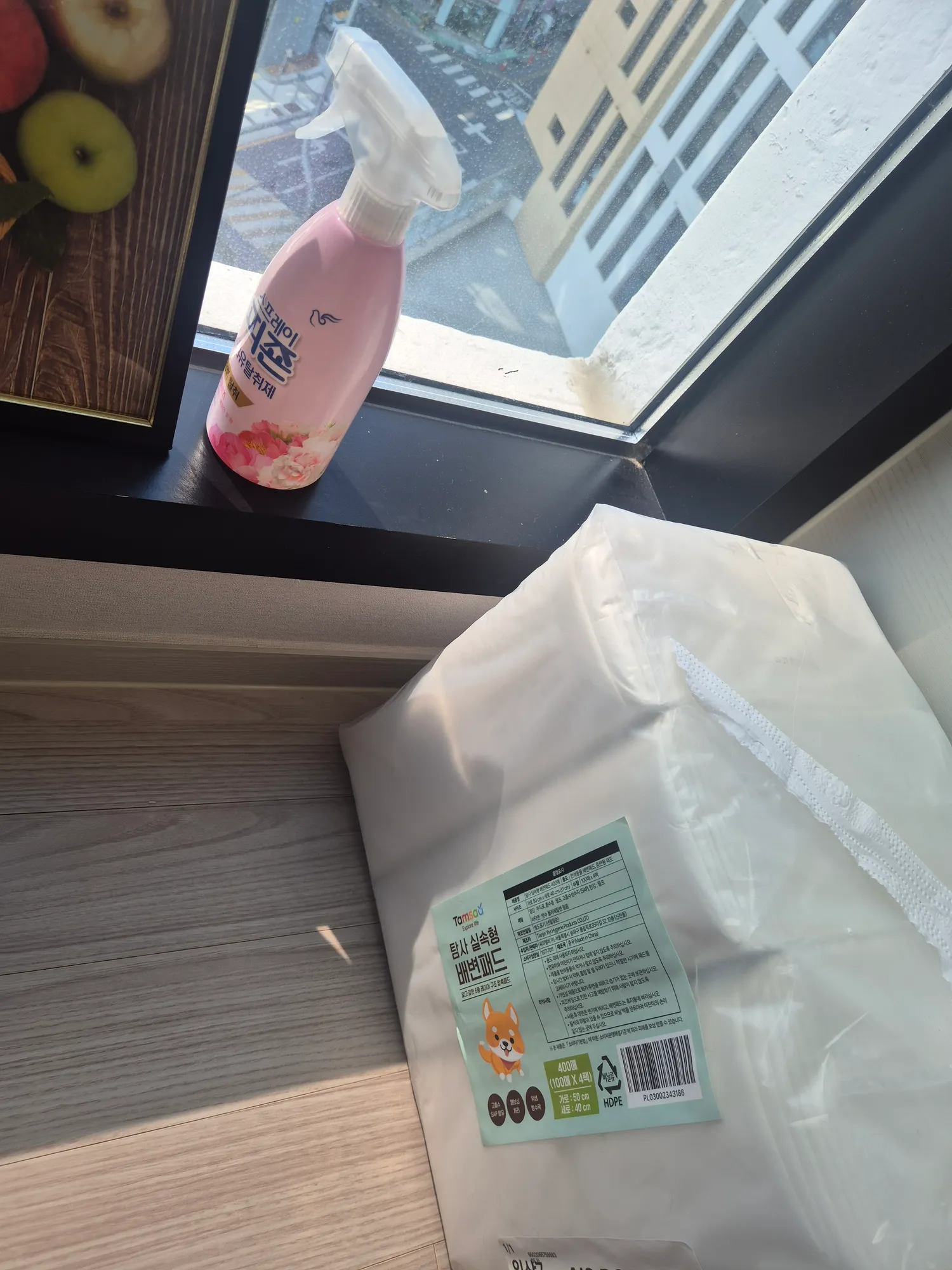 강아지나 동물키우는언니들만 들어와주세요